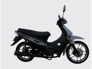 Descripción Motor 4 TIEMPOS, 1 CILINDRO Cilindrada en CC 107 cc Potencia 8,0 HP Arranque ELÉCTRICO Y PATADA Transmisión 4 CAMBIOS SEMIAUTOMÁTICOS Suspensión delantera TELESCÓPICA C/ AMORT. HIDRÁULICOS Suspensión trasera AMORTIGUADORES HIDRÁULICOS, REGULAB