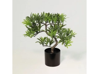 Dale un toque de elegancia natural a tu hogar con nuestro hermoso Bons&aacute;i artificial de 24cm. Su dise&ntilde;o realista y delicado lo convierte en el complemento perfecto para cualquier espacio, ya sea tu sala, tu oficina o tu habitaci&oacute;n.