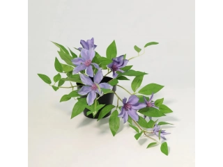 Dale un toque de elegancia natural a tu hogar con nuestra Planta Artificial Clematis Violeta de 23cm. Sus delicadas flores violetas y hojas verdes realistas crean un ambiente fresco y sofisticado en cualquier espacio.