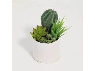 Dale un toque de naturaleza a tu hogar con este hermoso cactus artificial de 18cm. Perfecto para decorar cualquier espacio, este mini jard&iacute;n en una maceta blanca le dar&aacute; un toque de frescura y estilo a tu sala.