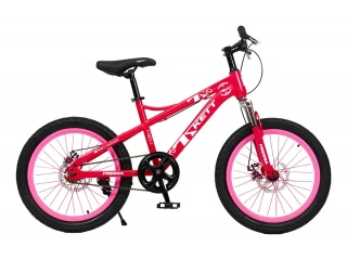 Tipo de freno trasero: Disco. Tipo de freno delantero: Disco mec&aacute;nico. Cantidad de velocidades: 1. G&eacute;nero: Sin g&eacute;nero. Tama&ntilde;o del cuadro: 20 ". Rodado: 20. Cuadro de acero resistente para mayor durabilidad. Frenos de disco delantero y trasero para segurid