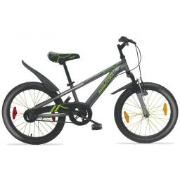 Bici 20 Baccio Bambino Dlx 