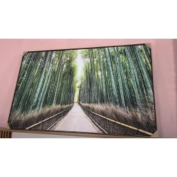 Cuadro Cañaberal HORIZONTAL 1.00 X 0.80 MTS.