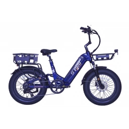 Bici. Electrica 20" S-PRO CHILLY CARGO 