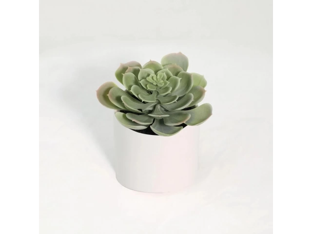Dale un toque de naturaleza a tu hogar con esta hermosa planta artificial suculenta de 18 cm de alto. Su dise&ntilde;o realista y color verde la hacen ideal para cualquier espacio, aportando frescura y estilo.